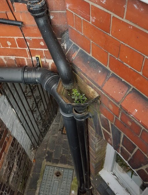 Downpipe Repair